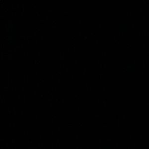 Meet your Posher, Chanelle